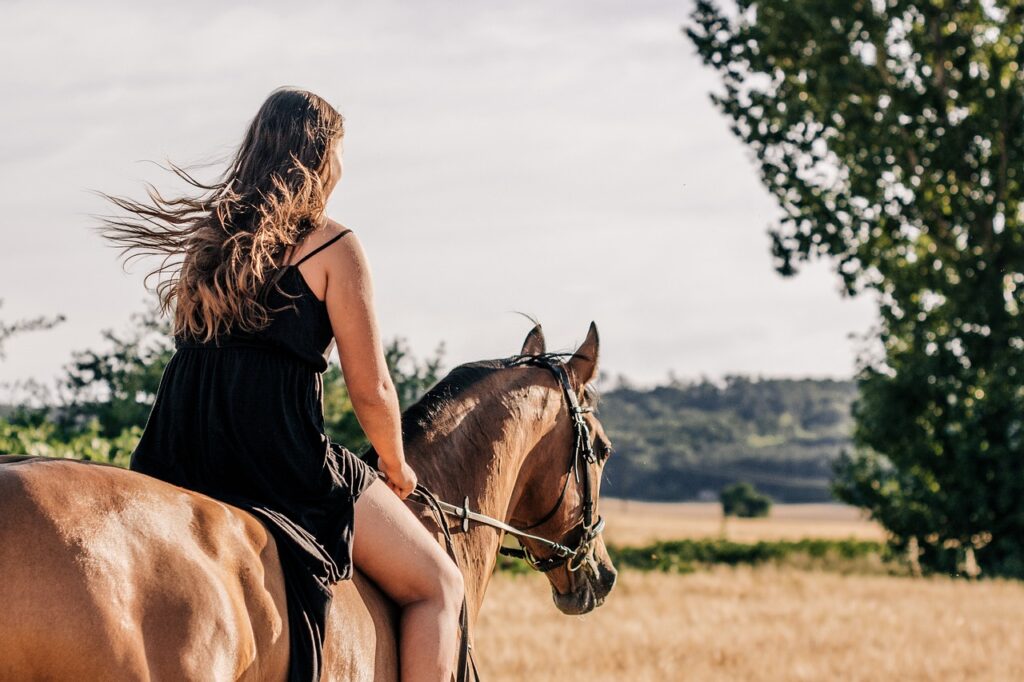 reiten